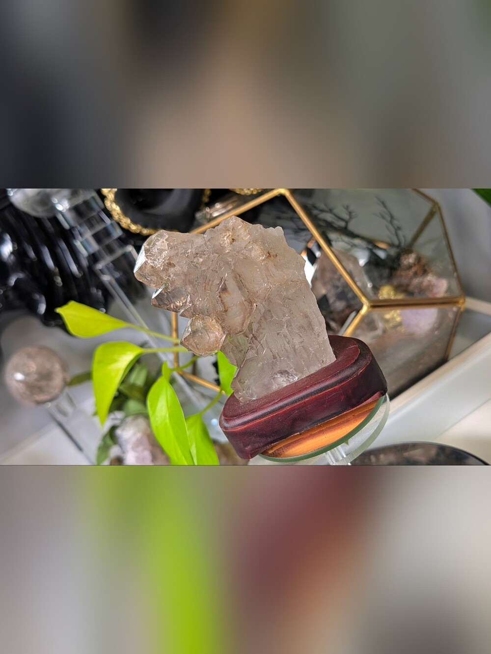 Elestial Celestial Smokey Quartz Cluster in Stand